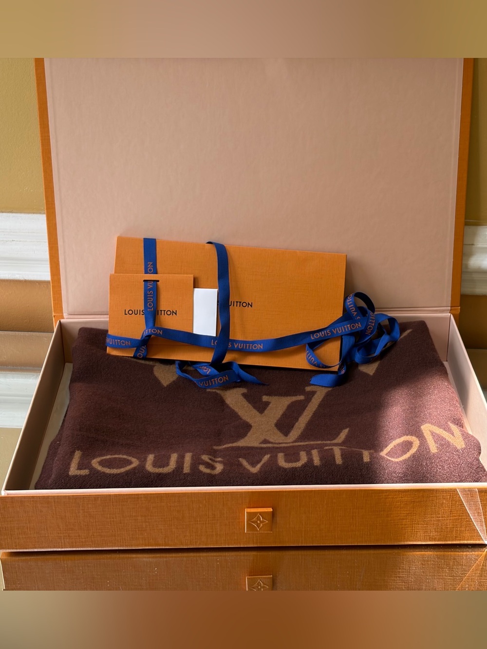 Louis Vuitton Scarf